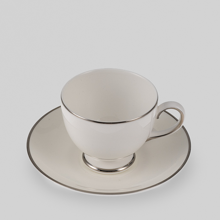 Platinum Band Tea Cup & Saucer