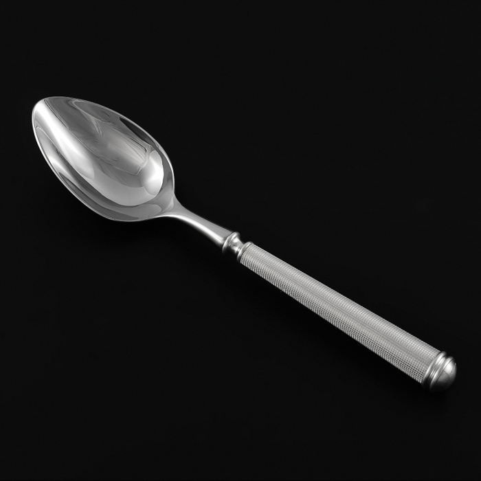 Atlantis Service Spoon